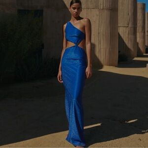 NWT Baobab Luana Dress - Ultramarine